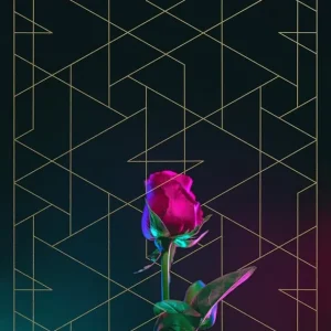 Place Order Rose Print