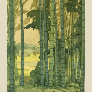 Discount Bamboo Grove by Yoshida Hiroshi