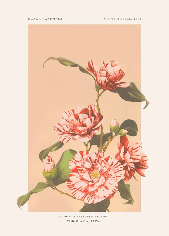 Striped Camellias Ogawa Kazumasa Flowers Print Final Sale