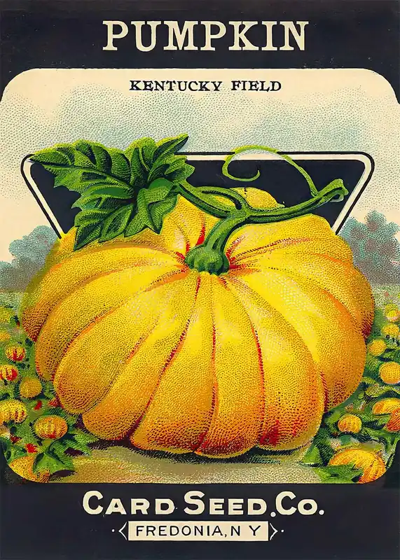 Vintage Pumpkin Kentucky Field Poster Print Exclusive Offer