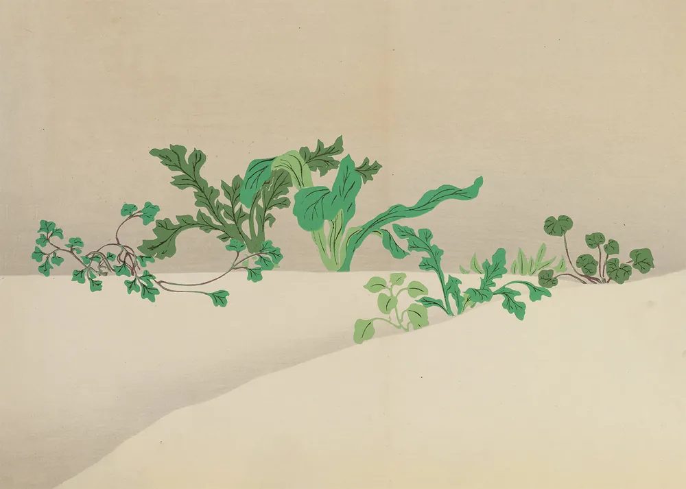 Seven Herbs of Early Spring Art Print by Kamisaka Sekka While Supplies Last