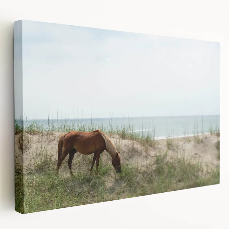 Outer Banks Beach Photography – Wild Horse Coastal Scene Wall Art Flash Sale