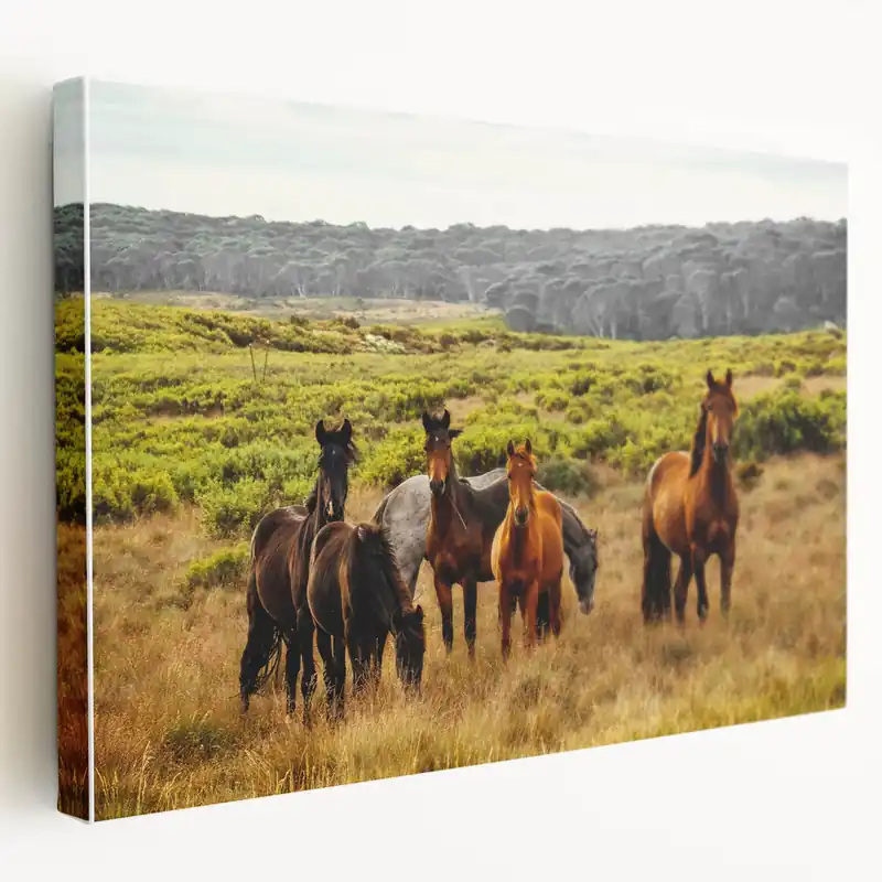 Free Shipping Rustic Wild Horses Wall Art – Majestic Horses Grazing in Open Field