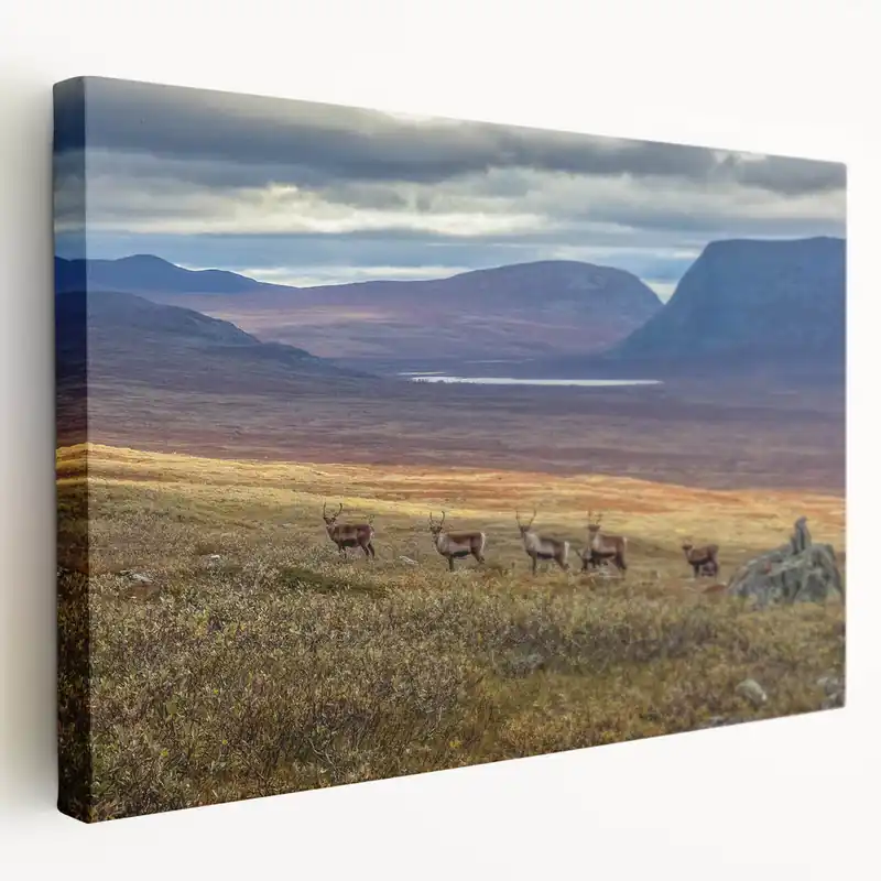 Swedish Scenery Wall Decor - Reindeer in Nordic Mountains Landscape Art Certified
