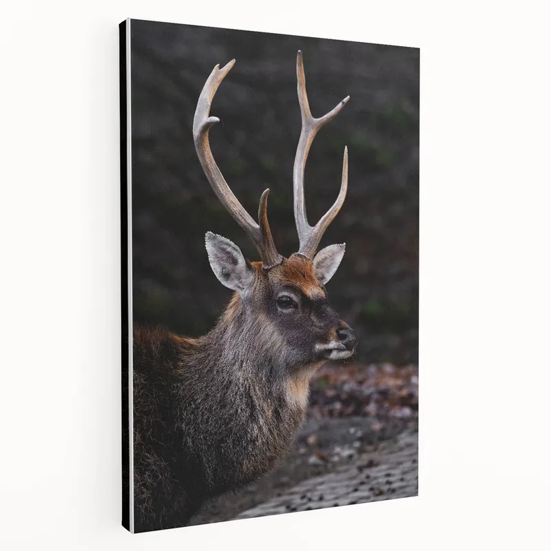 Majestic Stag Wall Art - Rustic Nature-Inspired Animal Decor Special Offer