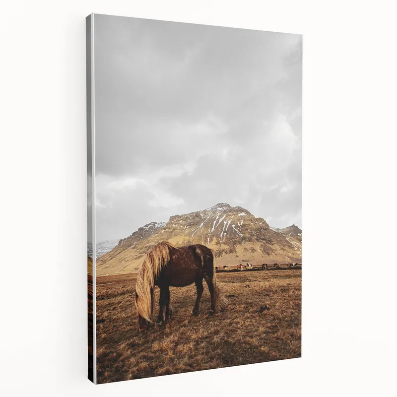 Rustic Wall Art - Wild Horse in Mountain Landscape for Farmhouse Decor Authentic