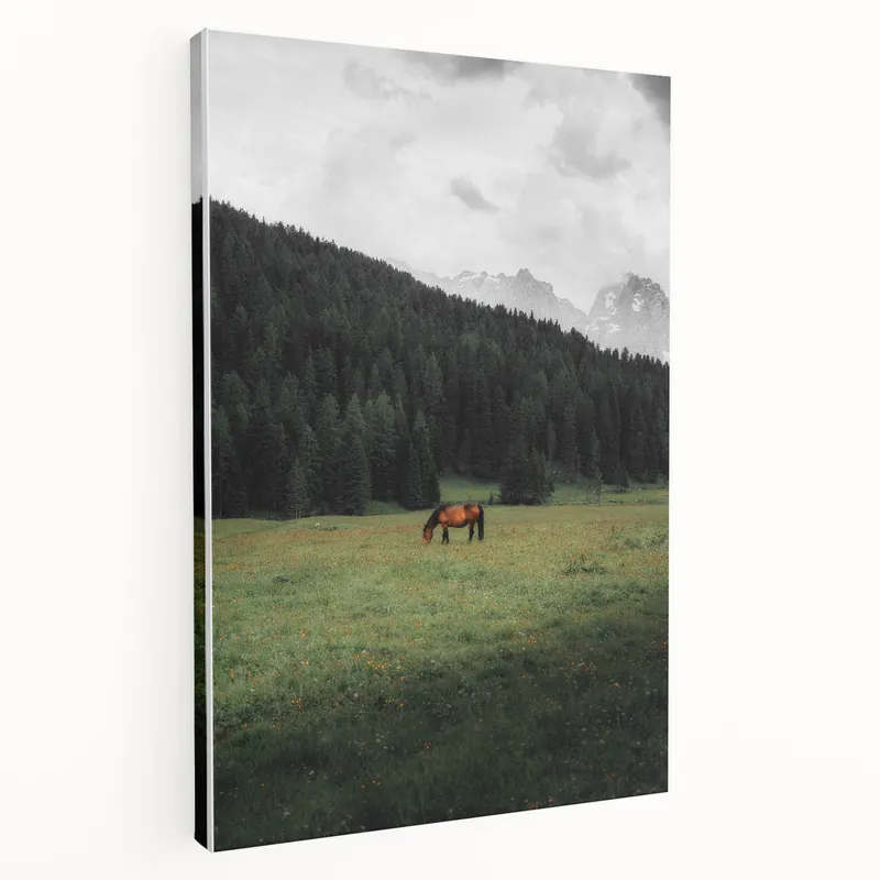 Free Shipping Rustic Wall Art - Horse Grazing in Mountain Valley, Farmhouse Decor Print
