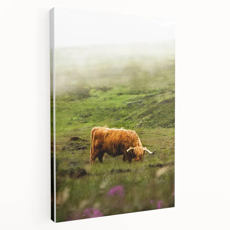 Express Delivery Rustic Wall Art - Highland Cow in Misty Pasture, Farmhouse Decor Print