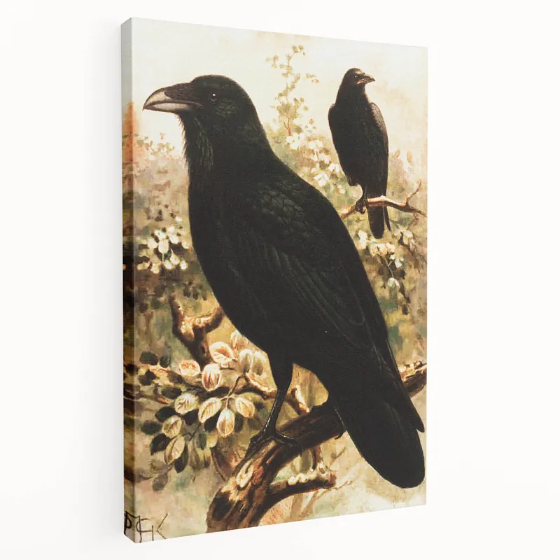 Sale Grunge Wall Art | Vintage Raven Bird Sketch | Abstract Grunge Nature Print