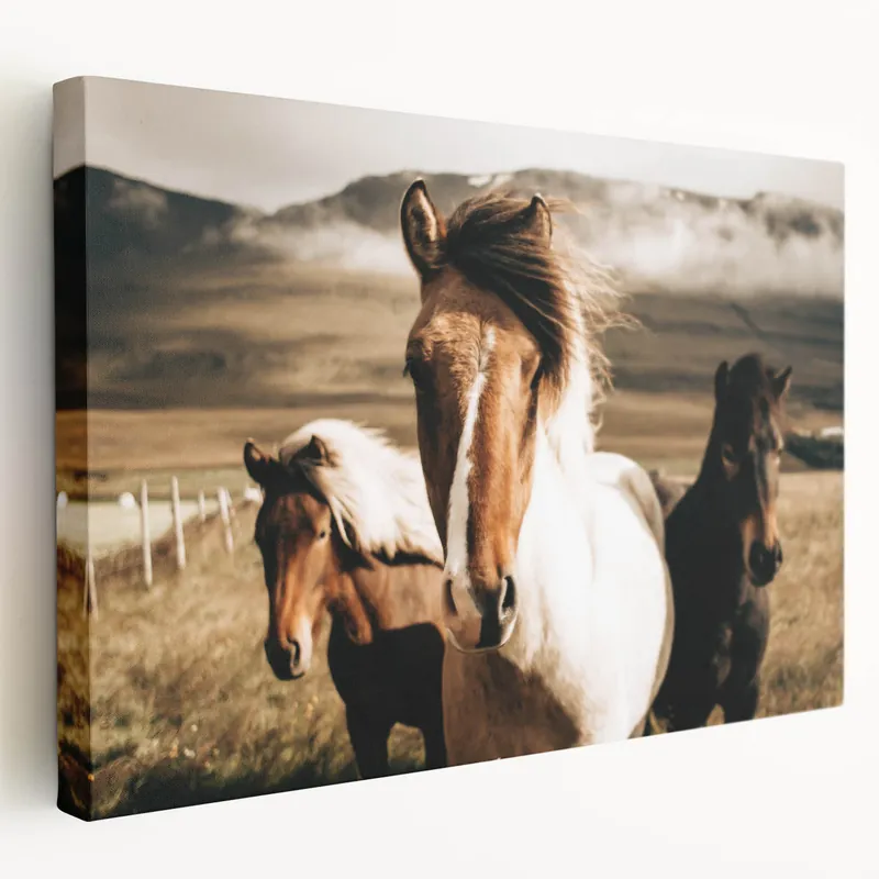 Farmhouse Horses Wall Art – Rustic Country Style Decor for Home Discount