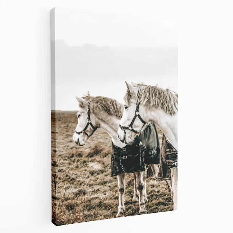 Charming Horse Duo Art - Rustic Farmhouse Wall Decor Print Trusted Brand