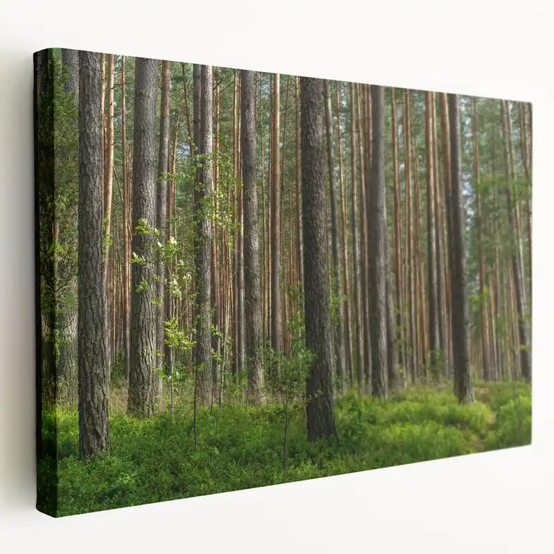 Lithuania Wall Art - Baltic Region Art of Tranquil Forest Landscape Time-Limited