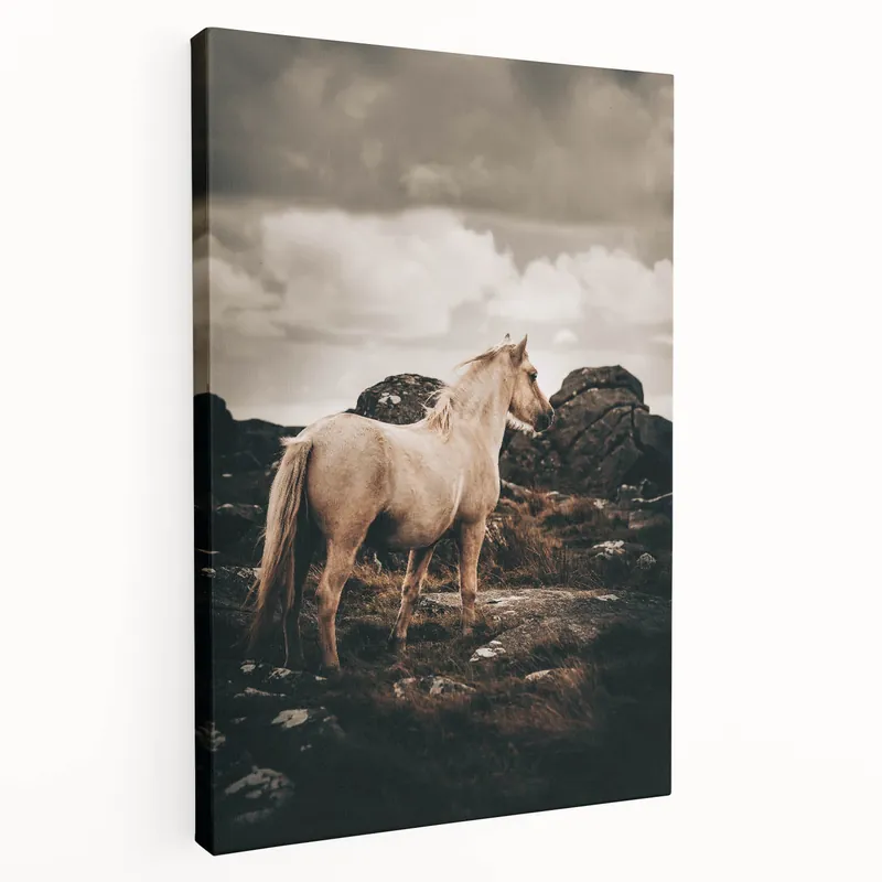 Super Sale Rustic Horse in Rocky Landscape Farmhouse Wall Art – Country Style Decor