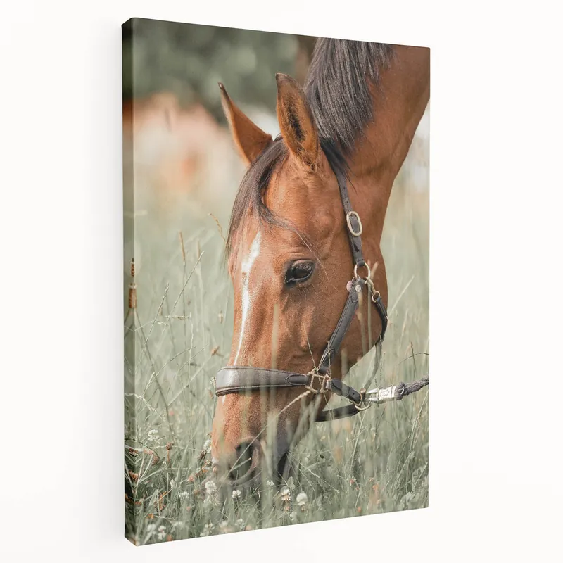 Weekend Sale Farmhouse Horse Grazing Wall Art - Rustic Country Style Farmhouse Decor