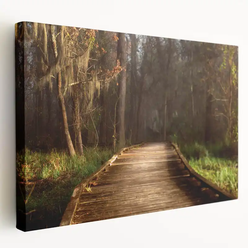 Brand New Louisiana Swamp Paintings - Serene Bayou Boardwalk in Morning Light