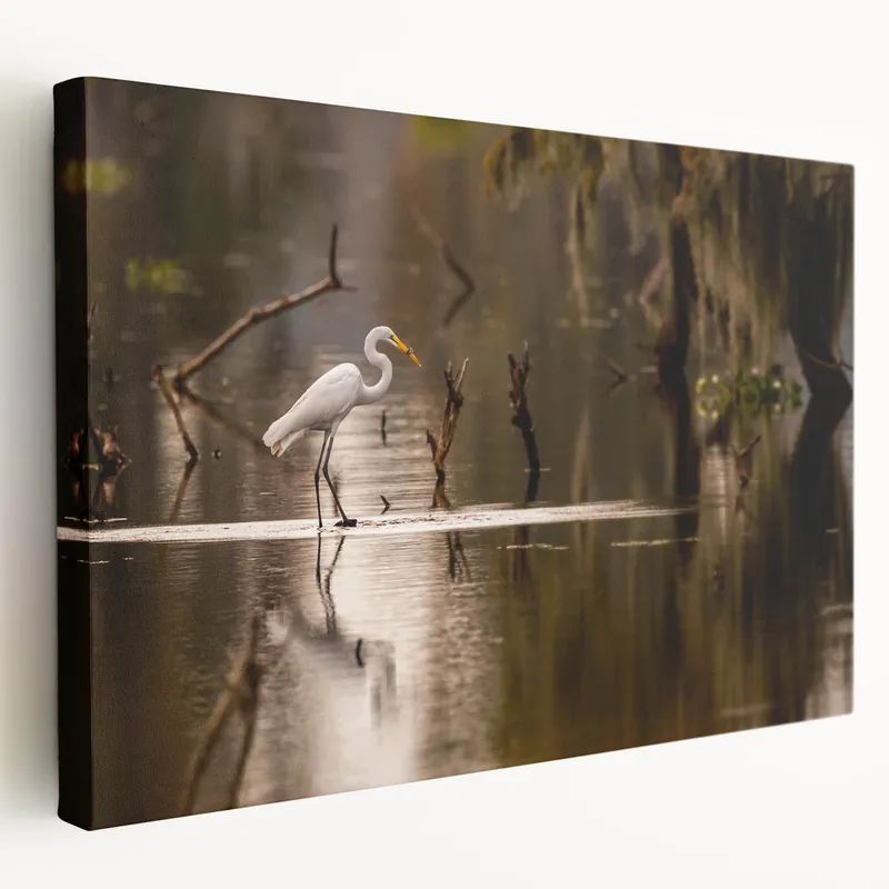 Warranty Included Louisiana Swamp Painting – Egret in Calm Bayou with Reflections
