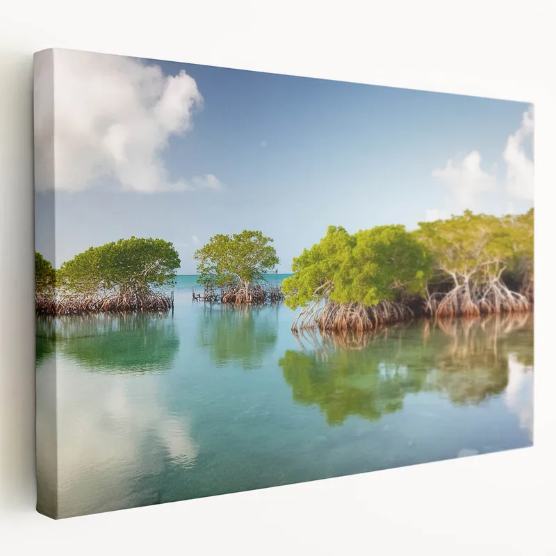 Florida Keys Mangrove Wall Art – Tropical Coastal Nature Photography Instant Buy