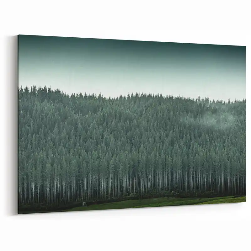 Buy Direct Auckland Forest Canvas - Serene Green Landscape Art