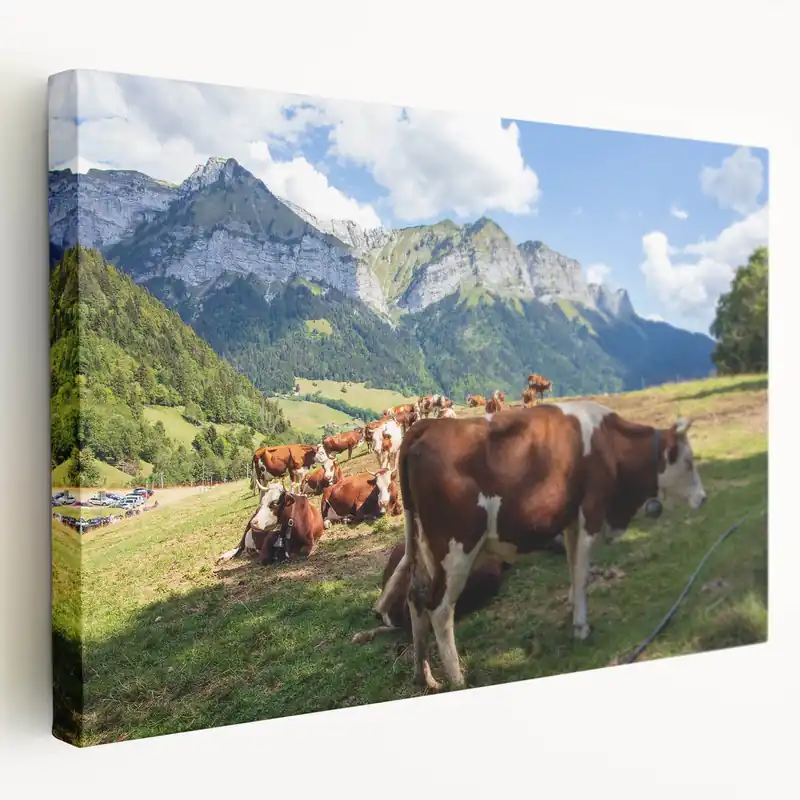Worldwide Shipping French Alps Wall Art – Cows Grazing in Scenic Alpine Pasture