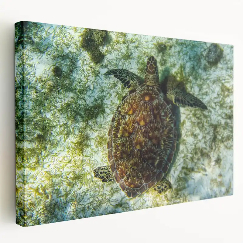 Trusted Brand Saint Vincent Landscape Prints - Tropical Beach Art