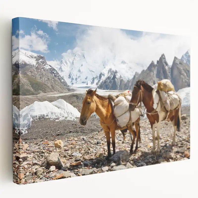 Northern Pakistan Canvas Art – Scenic Karakoram Mountain Landscape Print Mega Sale