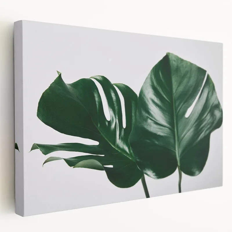 Monstera Leaf Wall Art - Botanical Canvas Print for Modern Tropical Decor Exclusive