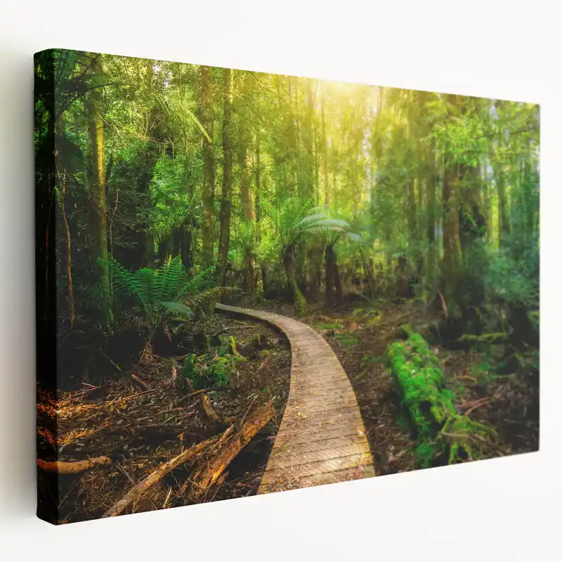 Serene Rainforest Pathway Wall Art - Tranquil Jungle Canvas Print Buy Direct