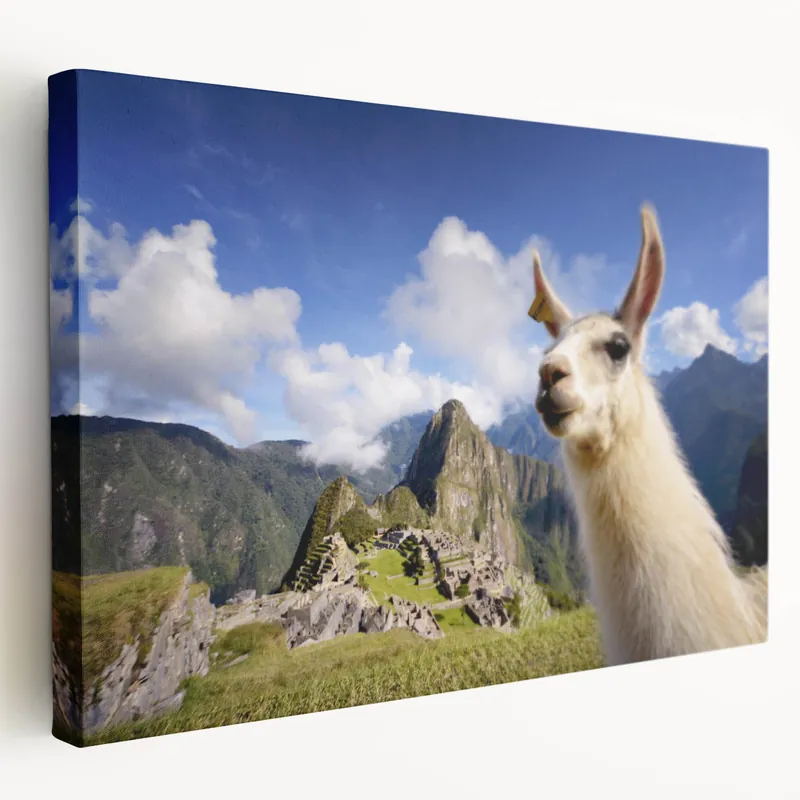 Final Sale Llama at Machu Picchu Wall Art - Scenic Canvas & Framed Prints for Travel Lovers