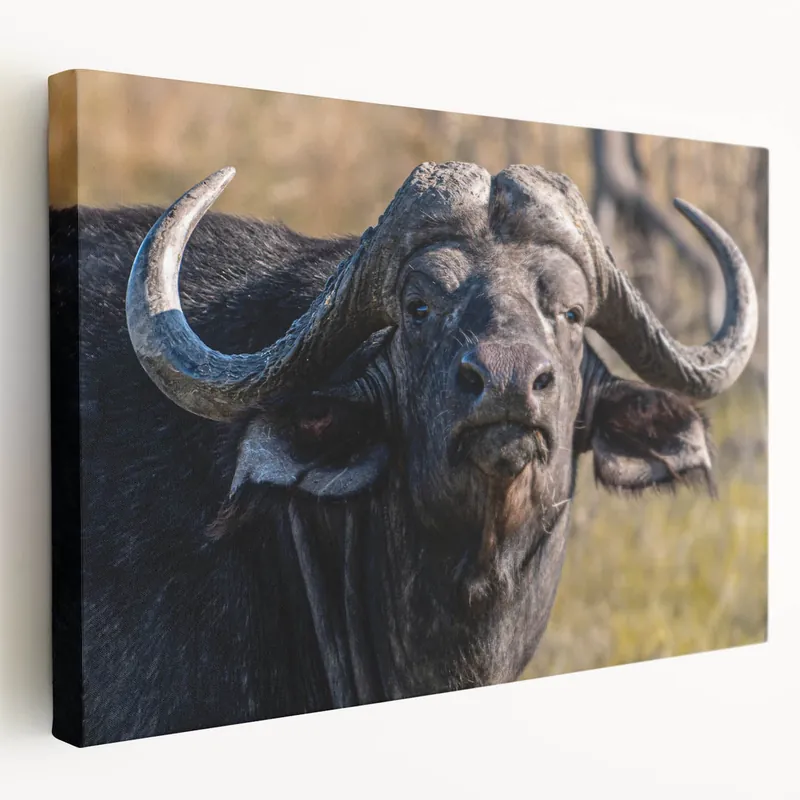 Reduced Price Buffalo Canvas Art – Powerful Bison Close-Up for Rustic Decor