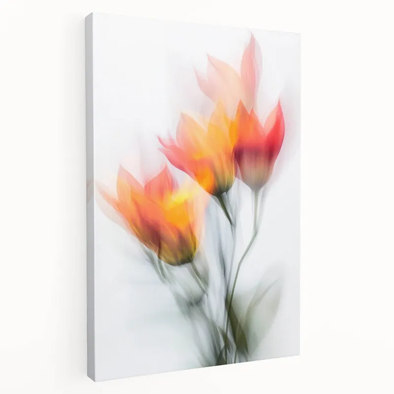 Vibrant Tulip Trio - Fine Art Photography Limited Edition Prints Warranty Included