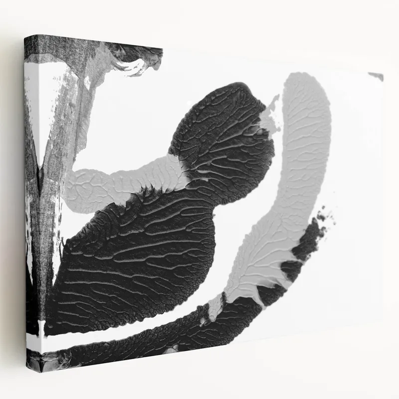 Textured Black and White Abstract Art | Monochrome Canvas Design In Demand