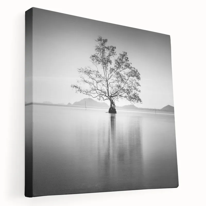 Solitary Tree Reflection - Fine Art Photography Framed Prints Grab Now
