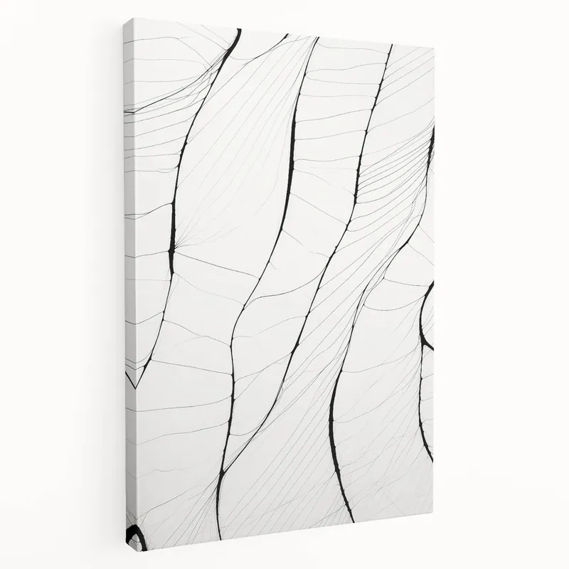 Fresh Stock Minimalist Abstract Line Art: Delicate Organic Patterns in Black and White