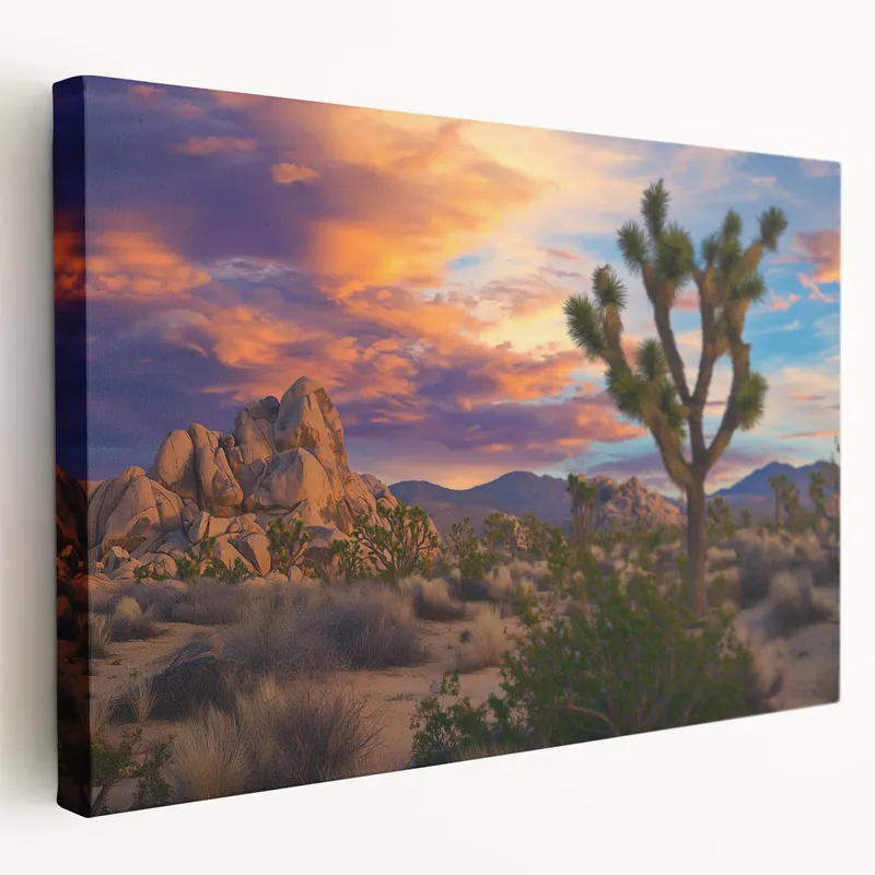 Sunset Over Desert Landscape with Joshua Trees – Fields Panorama Wall Decor Secure Checkout