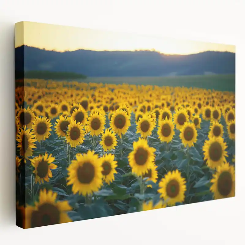 Field Landscape Wall Art - Serene Sunflower Fields Canvas Decor Viral