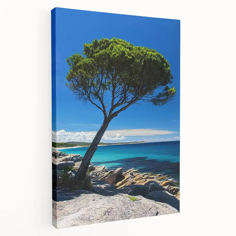 Cliffs Acrylic Glass Art – Tree by Turquoise Waters Coastal Landscape Exclusive Offer