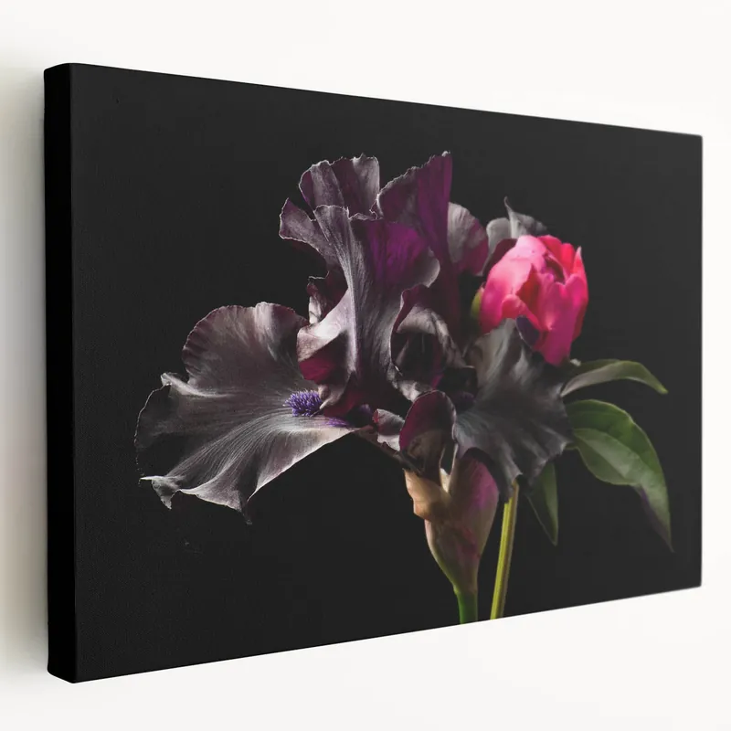 Sale Elegant Peony Flower Art - Peony Wall Art Print for Home Decor