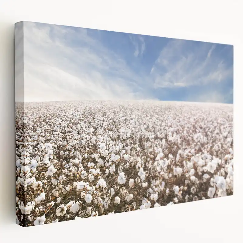 Authentic Rustic Cotton Field Print - Nature-Inspired Cotton Blossom Wall Art