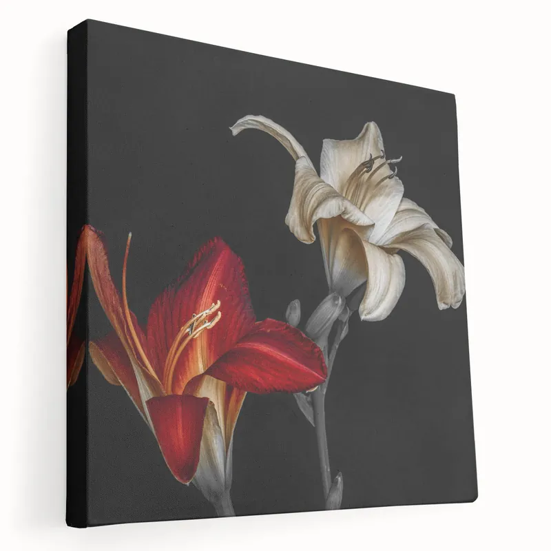 Handmade Striking Red and White Lily Art - Floral Canvas Print for Modern Decor