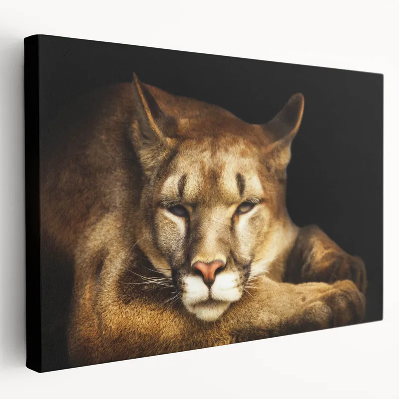 Trusted Brand Elegant Cougar Wall Art - Stunning Cougar Canvas Print for Home Decor