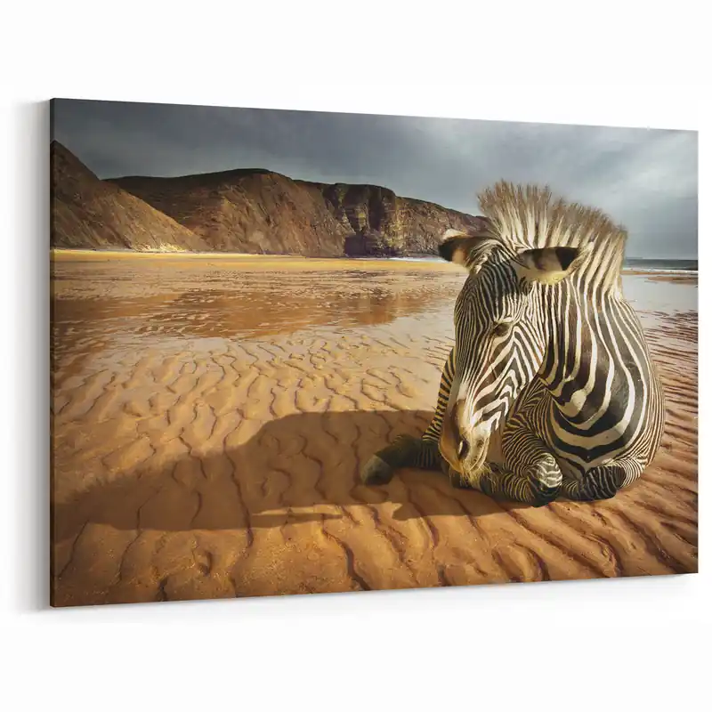 Hassle-Free Returns Resting Zebra on Beach - Wildlife Photography Wall Art for Home Decor