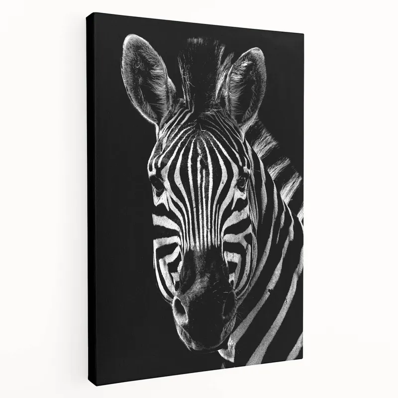 Deal Monochrome Zebra Wall Art - Striking Black and White Canvas Print