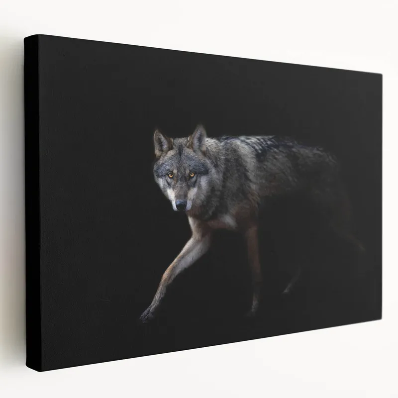 Top Rated Stealthy Wolf in the Night Art - Dramatic Canvas, Framed, and Acrylic Prints