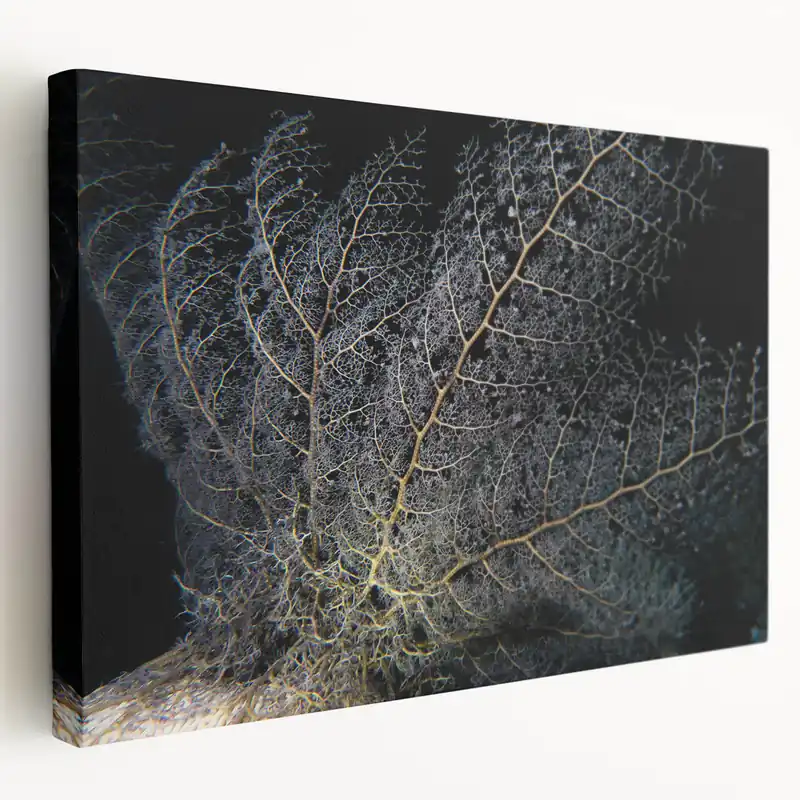 Coral Wall Art - Intricate Black Coral Canvas Print & Framed Art Decor Cheap