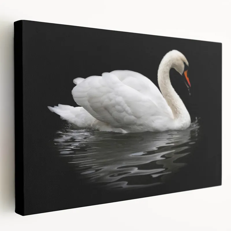 Weekend Sale White Swan Wall Art - Elegant Swan Canvas Print with Dark Background