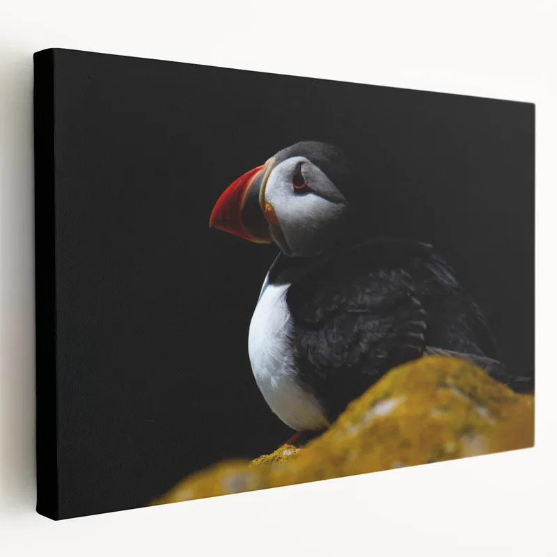 Dramatic Puffin Wall Art - Captivating Puffin Decor for Modern Spaces Top Pick