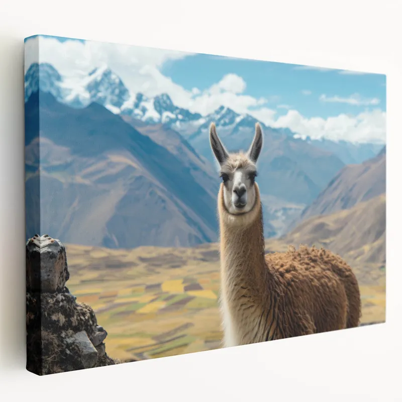 Mountain Llama Wall Art - Scenic Canvas & Framed Prints for Nature Decor Final Sale