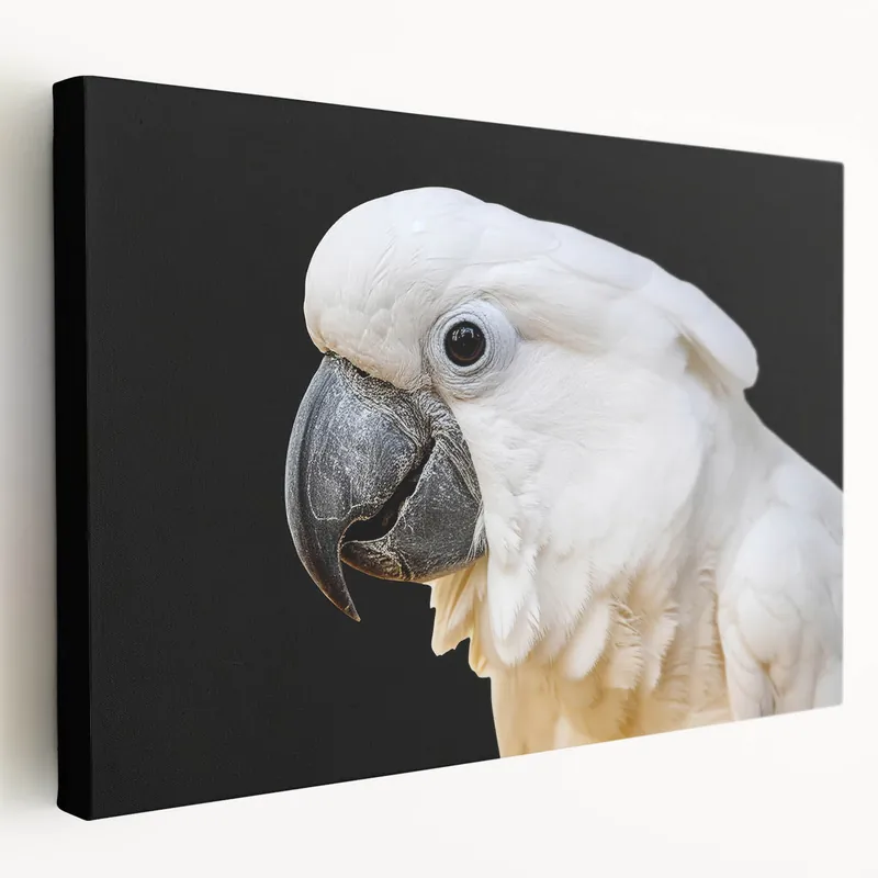 Elegant White Parrot Wall Art – Minimalist Tropical Decor for Modern Spaces Best Price