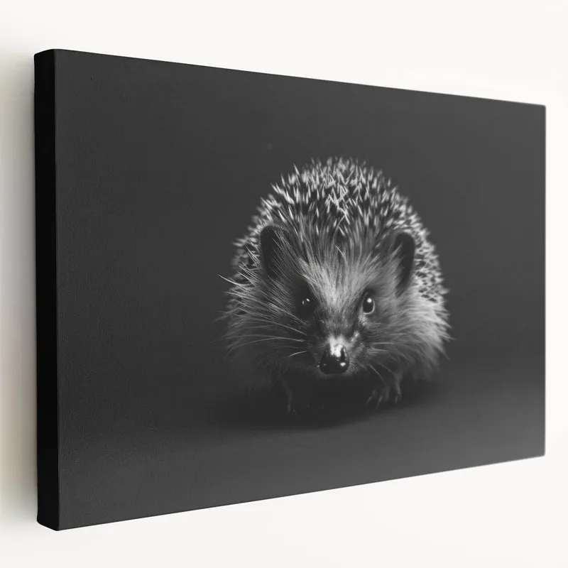 Certified Striking Black and White Hedgehog Wall Art - Modern Animal Decor