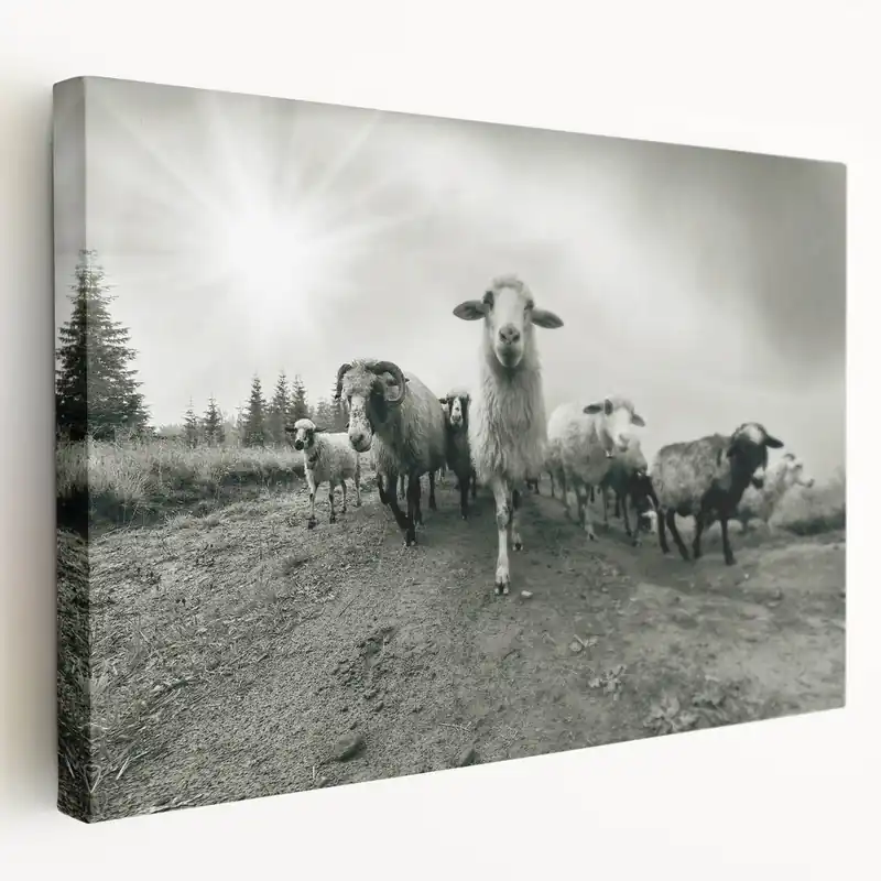 Goat Wall Art - Rustic Farm Animals Canvas Print for Wildlife Decor In Demand